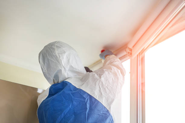 Best Biohazard Mold Removal  in Rio Verde, AZ